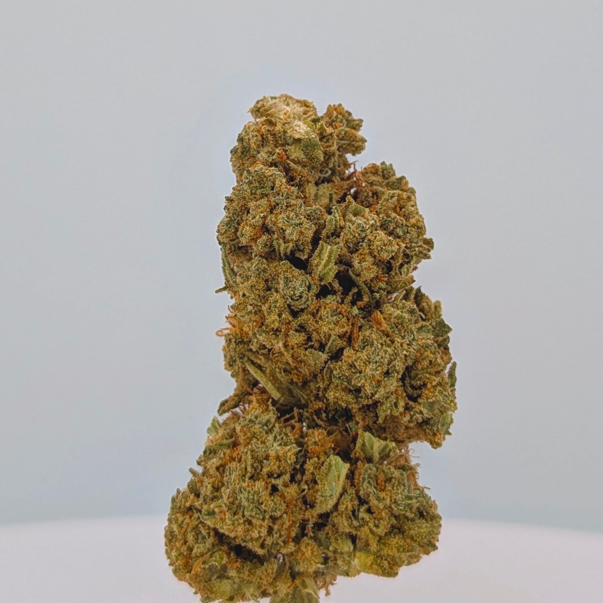 OG Kush